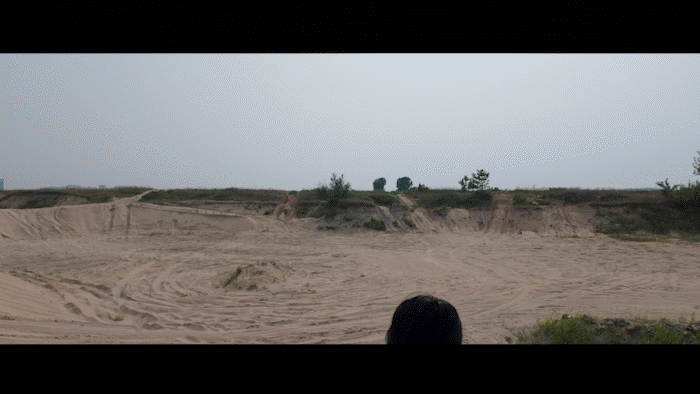 YT2829.gif